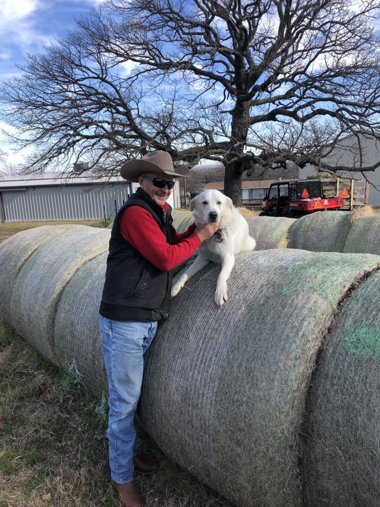June "owning" a round bale